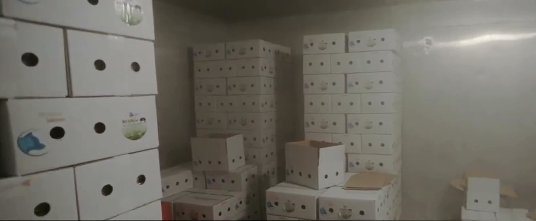 Frozen storage full of cartons ready for dispatch
